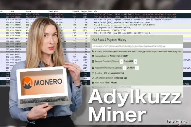 Adylkuzz Miner virus illustration