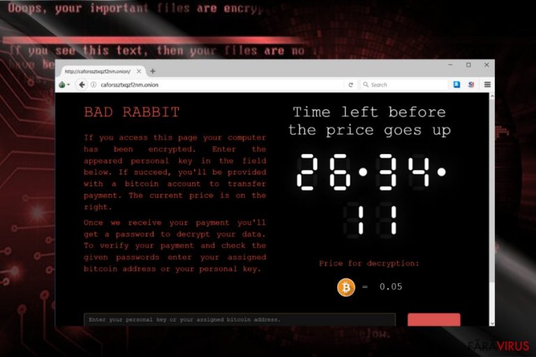 Captură de ecran a site-ului de plată al lui Bad Rabbit