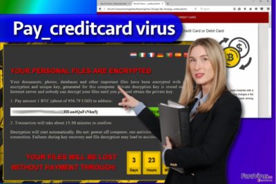Ransomware-ul Pay_creditcard