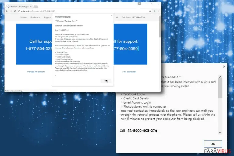 Image of Windows Warning Alert scam
